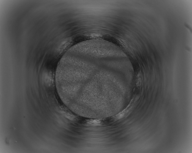 X0000091890140200709191225