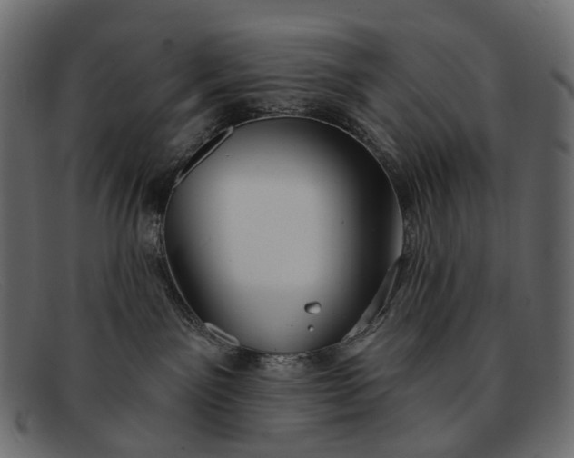 X0000091890141200709191225