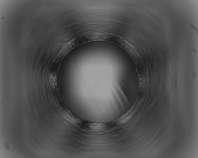X0000091890142200709191225