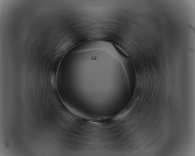 X0000091890143200709191225