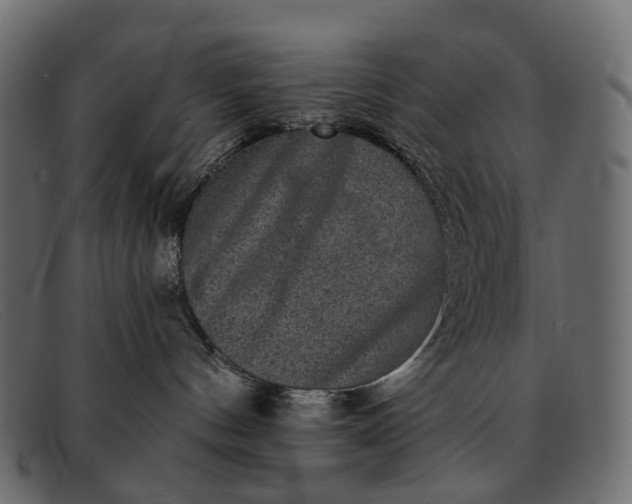 X0000091890144200709191225