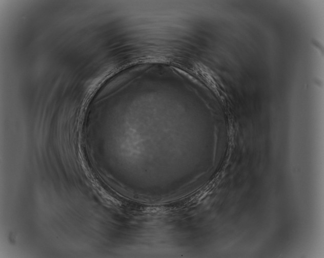 X0000091890145200709191224