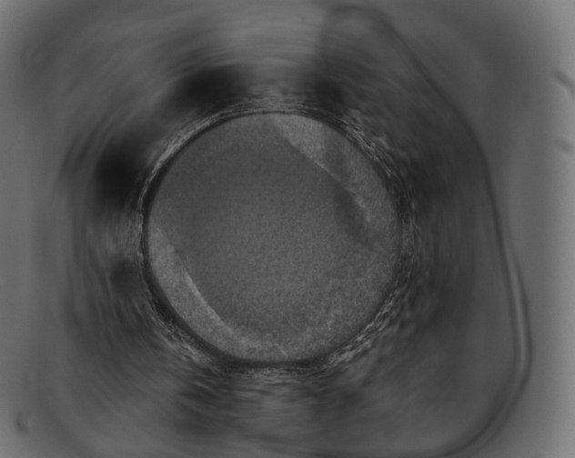 X0000091890146200709191224