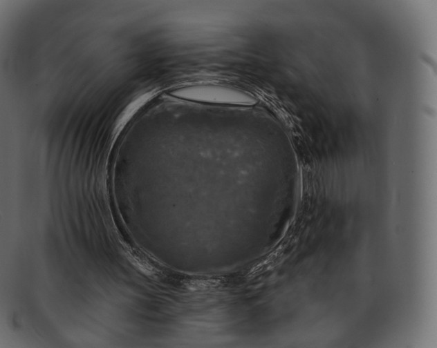 X0000091890147200709191224