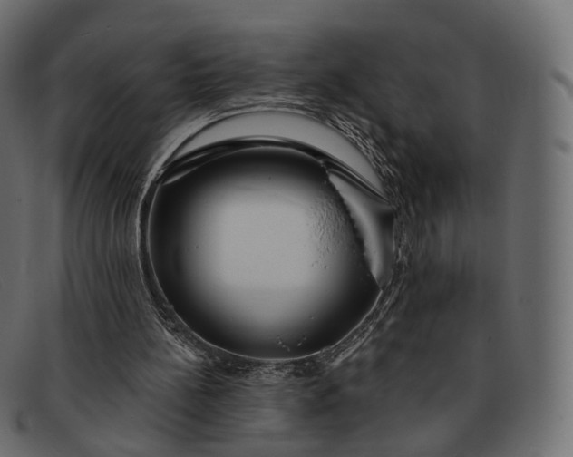 X0000091890148200709191224