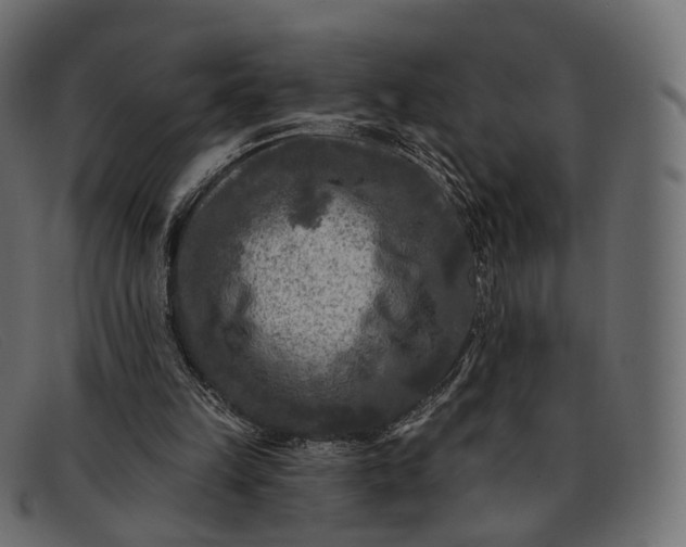 X0000091890149200709191224