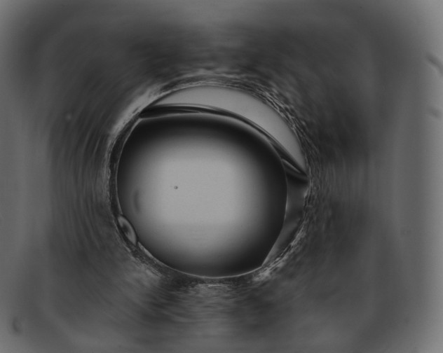 X0000091890150200709191224