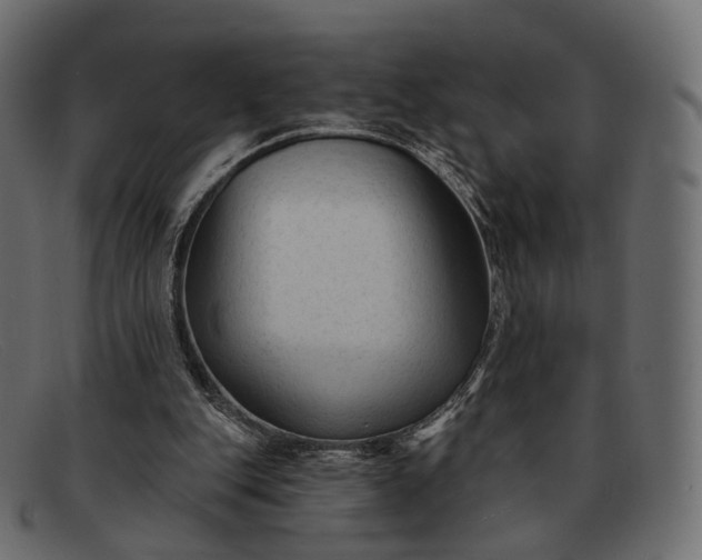 X0000091890151200709191224