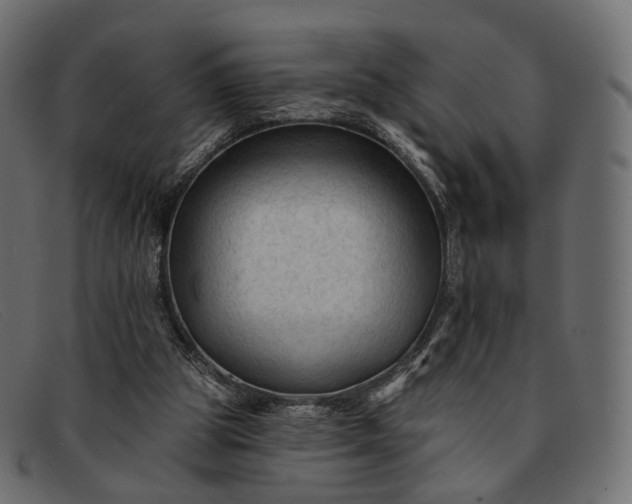 X0000091890153200709191224