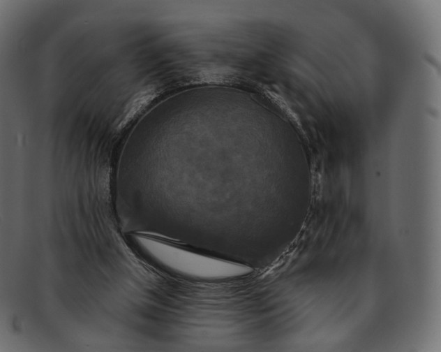 X0000091890154200709191224