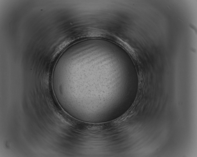 X0000091890155200709191224