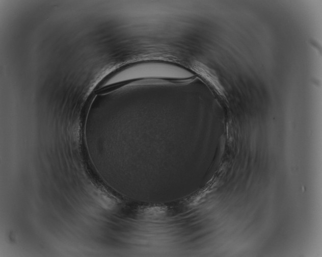 X0000091890156200709191224
