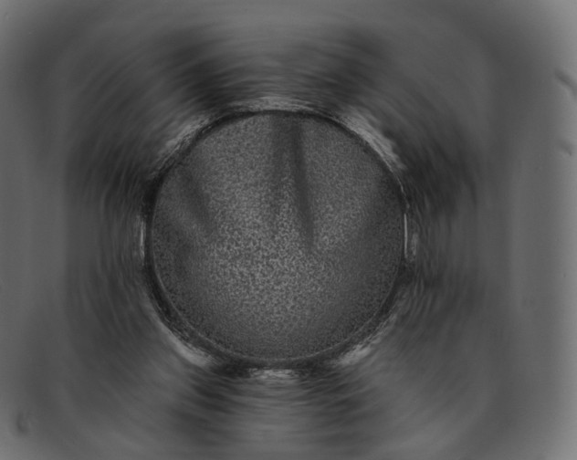 X0000091890157200709191224