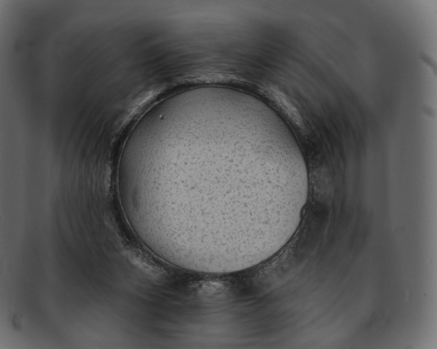 X0000091890159200709191224