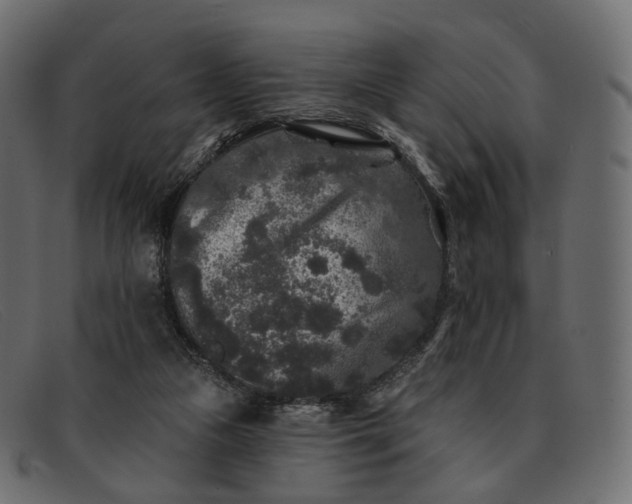 X0000091890161200709191224