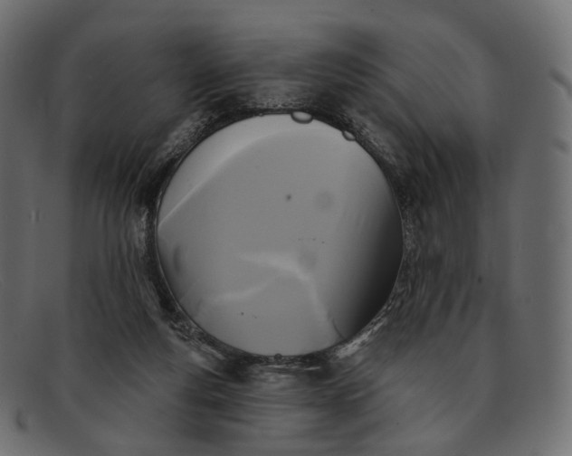X0000091890163200709191224