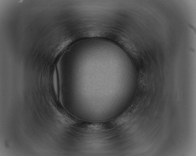 X0000091890164200709191224