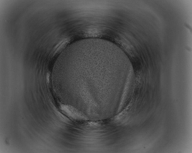 X0000091890166200709191224