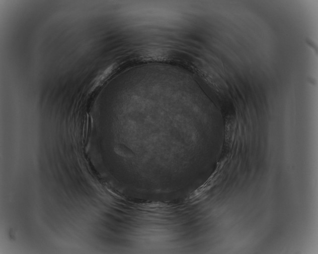 X0000091890168200709191224