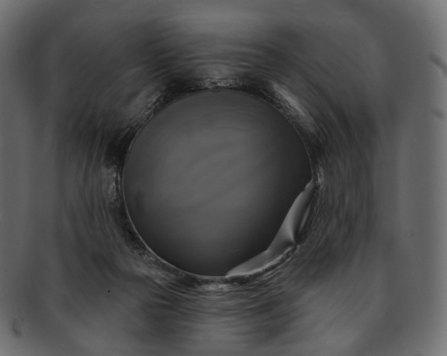X0000091890169200709191224