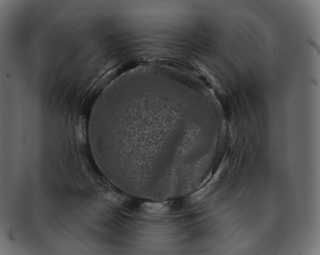 X0000091890170200709191224