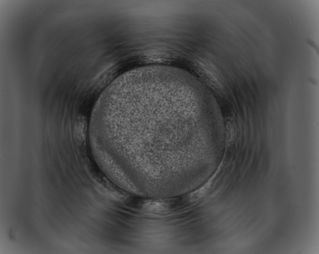 X0000091890174200709191224