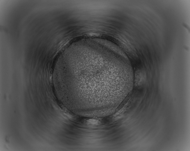 X0000091890176200709191224