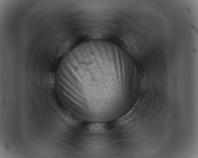 X0000091890179200709191224