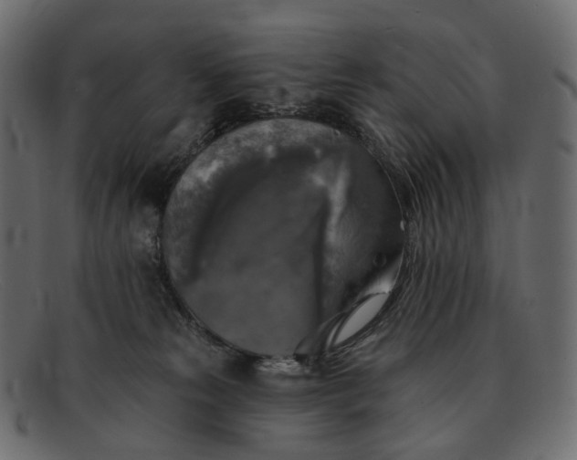 X0000091890181200709191224