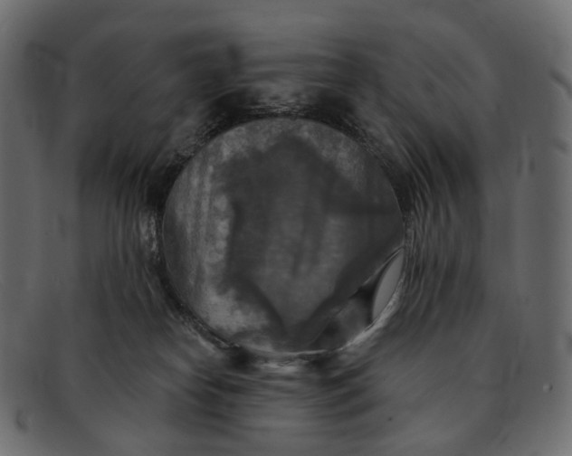 X0000091890182200709191224