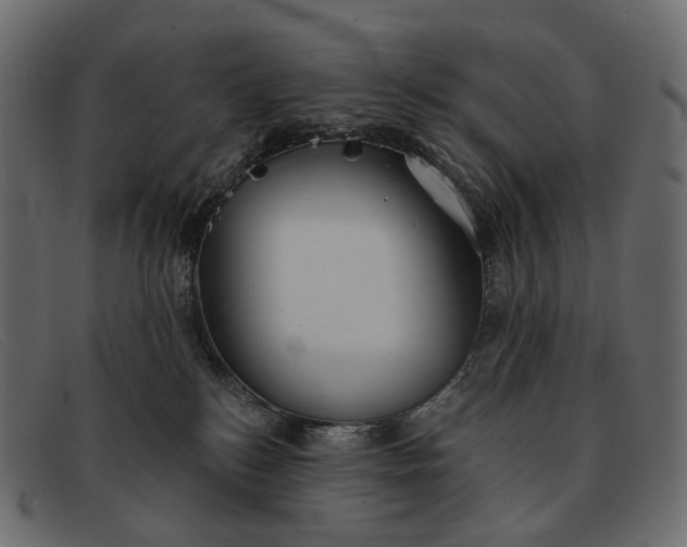 X0000091890184200709191224