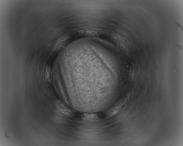 X0000091890185200709191224