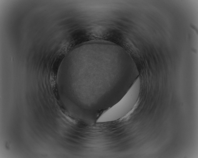 X0000091890186200709191225