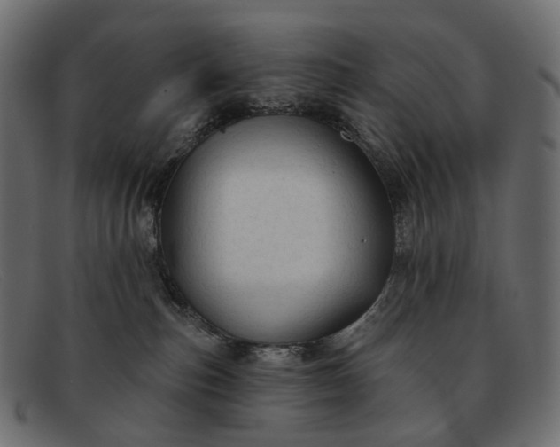 X0000091890187200709191225