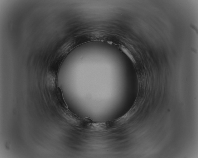 X0000091890188200709191225