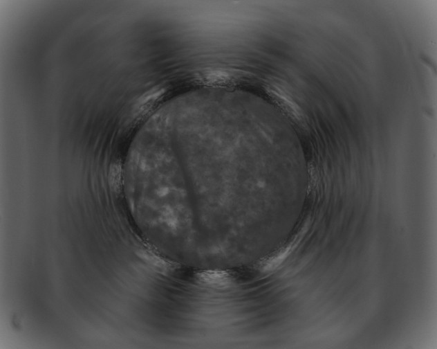 X0000091890189200709191225