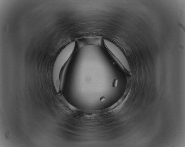 X0000091890190200709191225