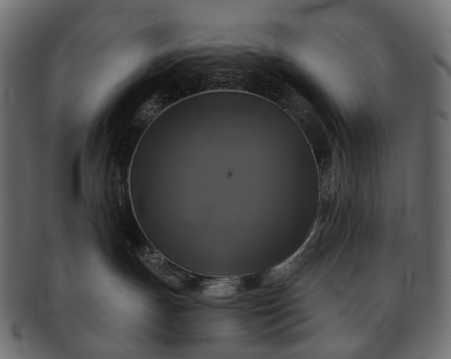 X0000091890191200709191225