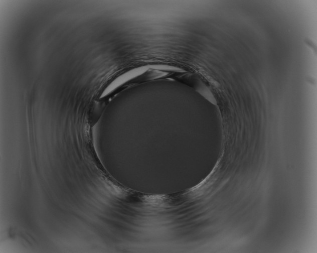 X0000091890192200709191225