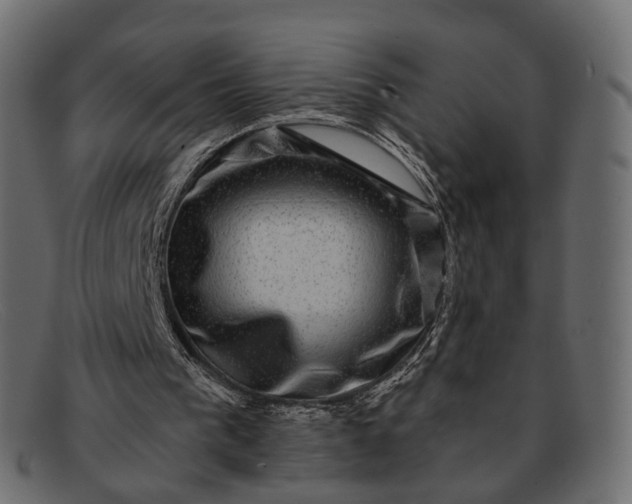 X0000091890193200709191224