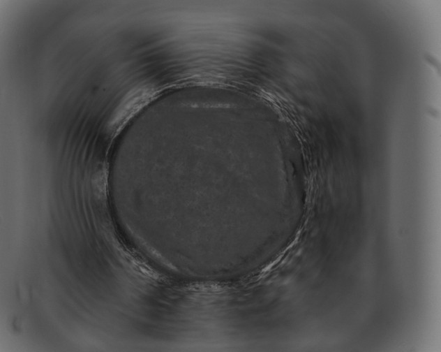 X0000091890194200709191224