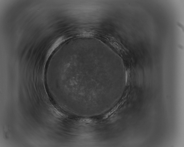 X0000091890195200709191224