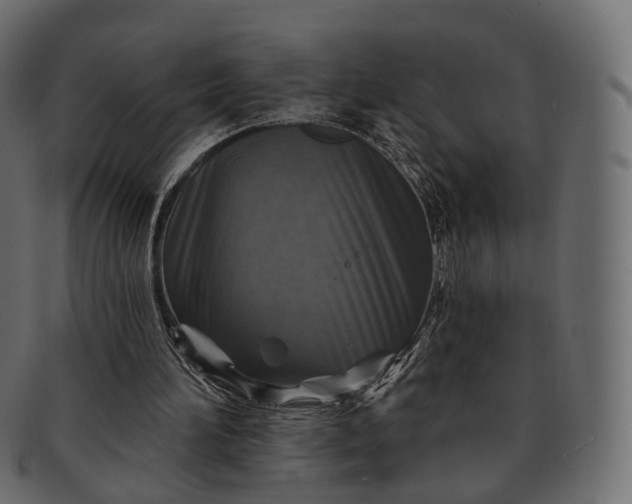 X0000091890196200709191224