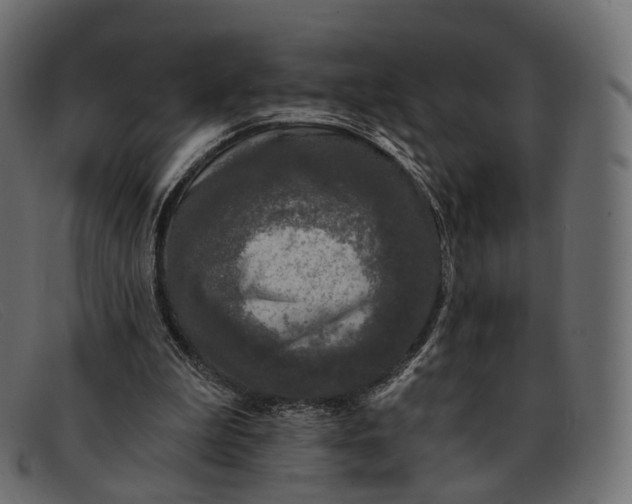 X0000091890199200709191224