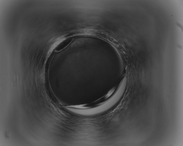 X0000091890200200709191224