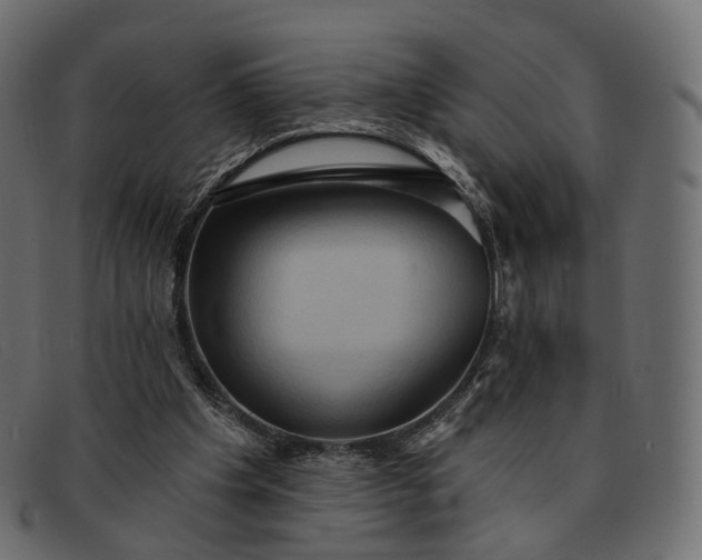 X0000091890201200709191224