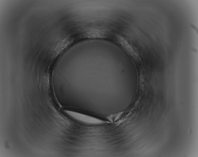 X0000091890202200709191224