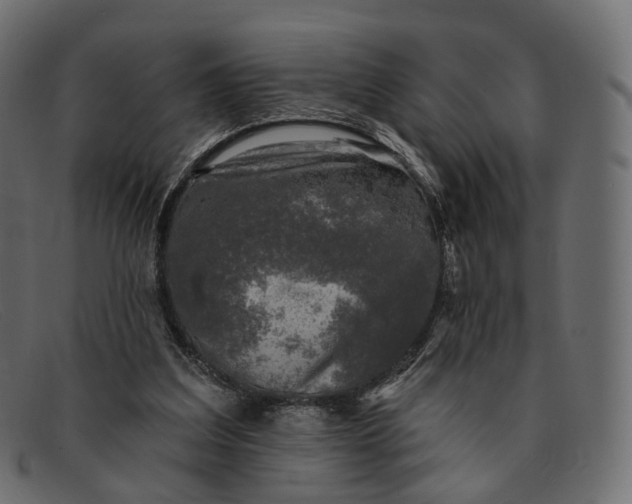 X0000091890203200709191224