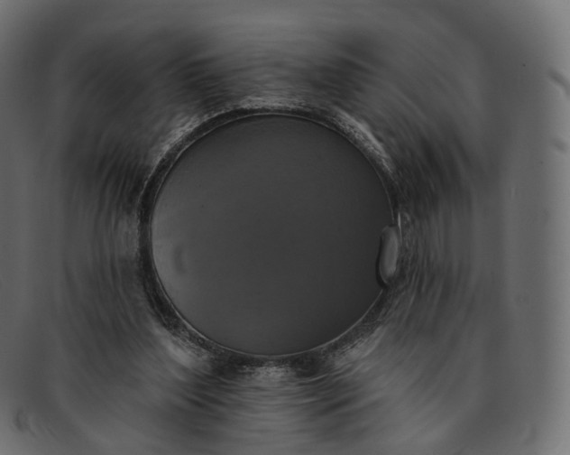 X0000091890204200709191224