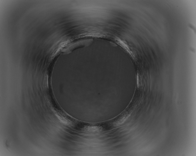 X0000091890205200709191224
